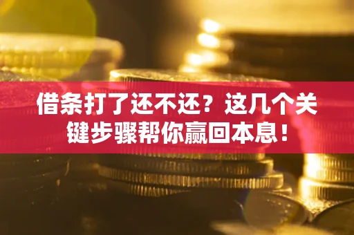 济南借条打了还不还？这几个关键步骤帮你赢回本息！