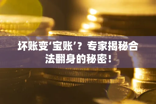 济南坏账变‘宝账’？专家揭秘合法翻身的秘密！