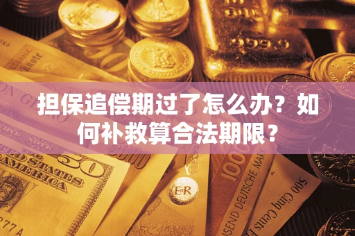 济南担保追偿期过了怎么办？如何补救算合法期限？