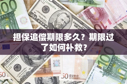 济南担保追偿期限多久？期限过了如何补救？