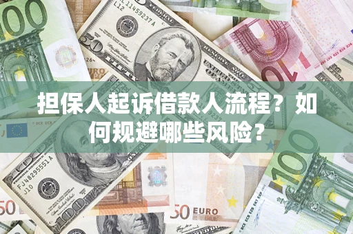 济南担保人起诉借款人流程？如何规避哪些风险？